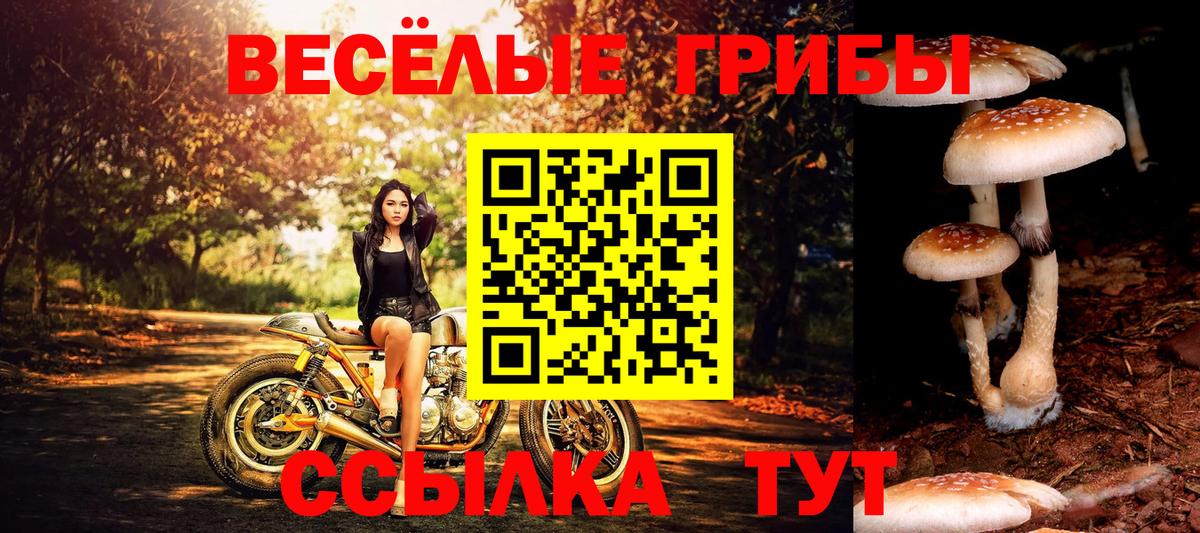 Псилоцибиновые грибы Magic Shrooms Аша