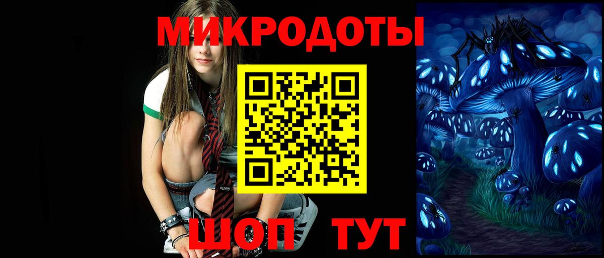 Галлюциногенные грибы Psilocybine cubensis  Вход с VPN  что такое наркотик  Аша 