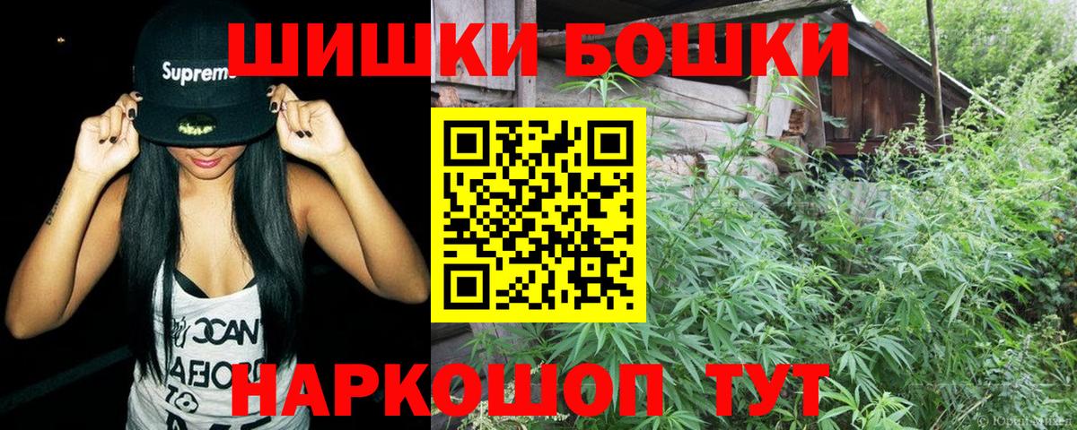 Бошки Шишки семена Аша